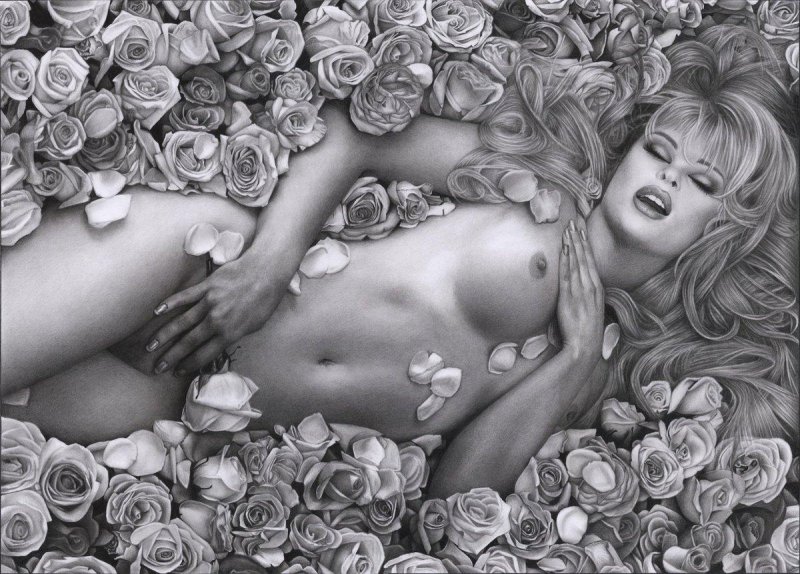 Beautiful erotic drawings
