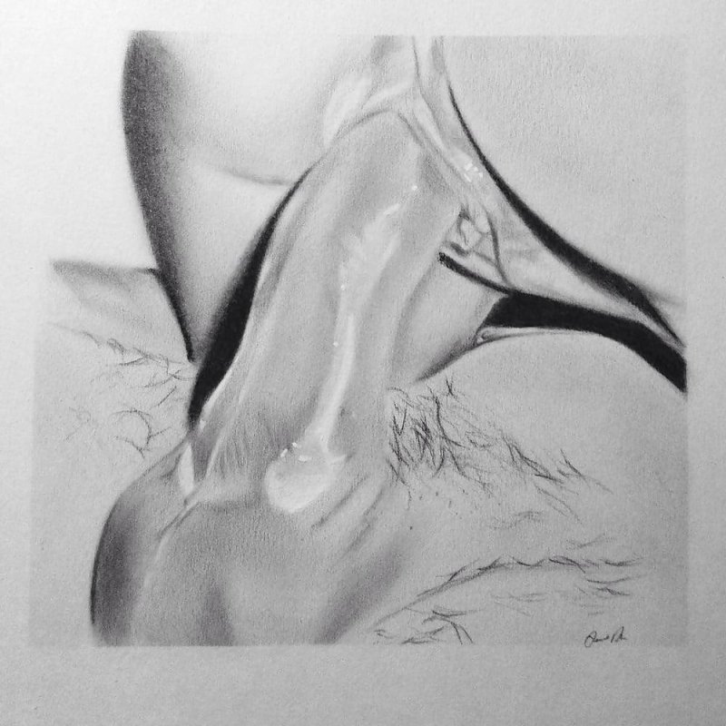 Drawings with a pencil of kunnilingus