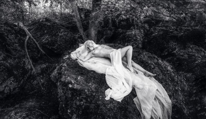 Photoshoots in the forest