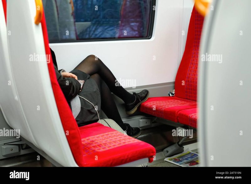 Train swallow Minsk