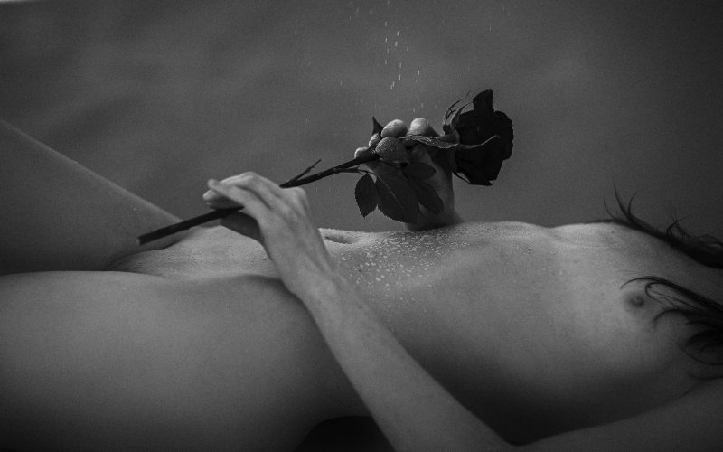 Rosa Erotica