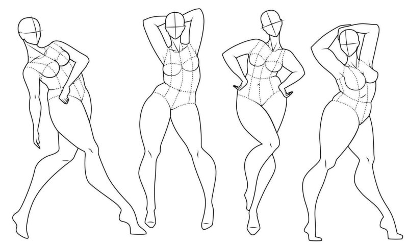 Figure of the model sketch