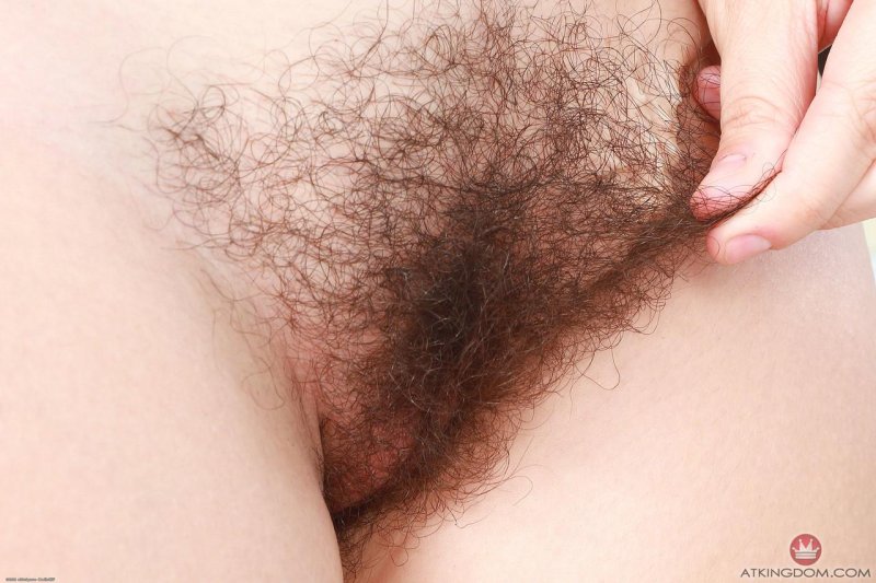 Shaggy pussy