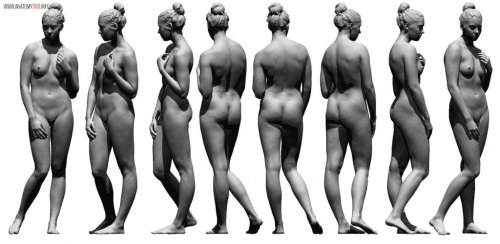 Female anatomy reference