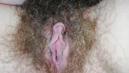 Hairy pussy