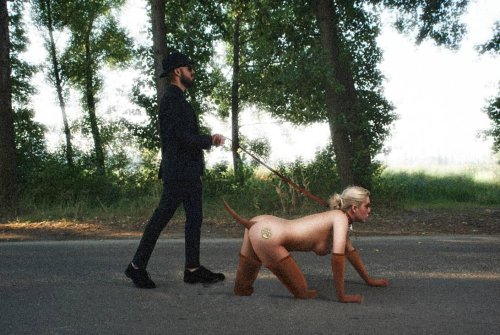 Walk with a dog
