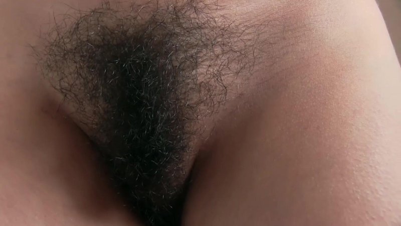 Hair on the pubis