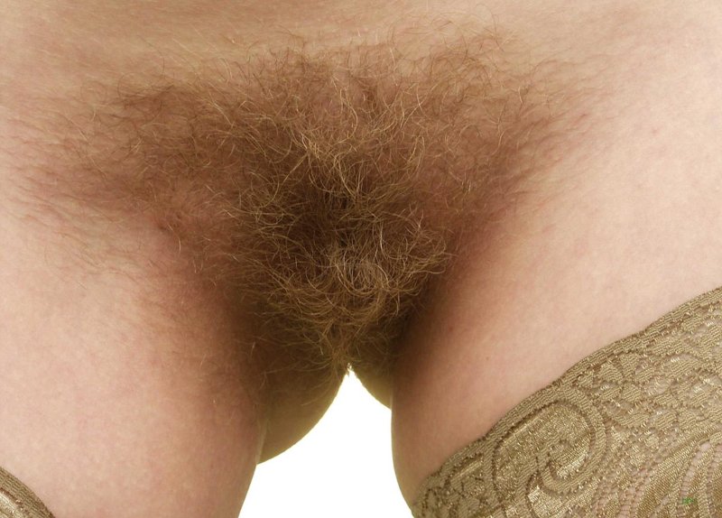 Hairy Female Lobins